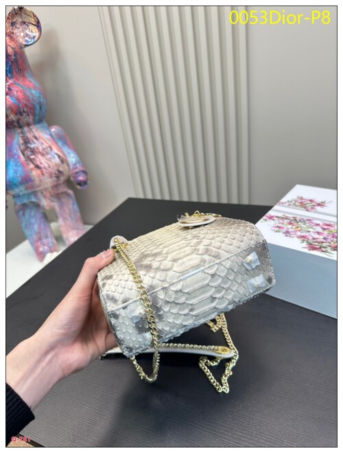 0053Dior P8