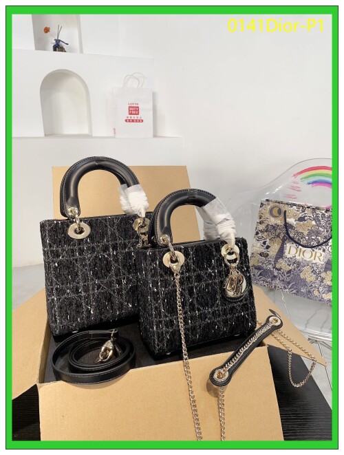0141Dior P1