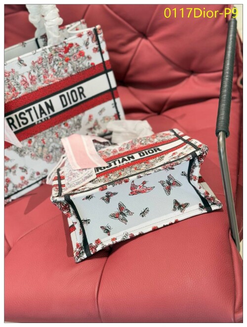 0117Dior P9