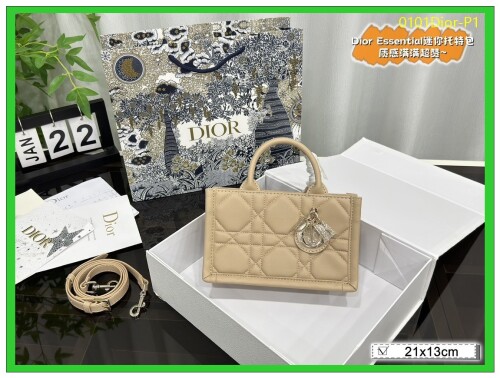 0101Dior P1