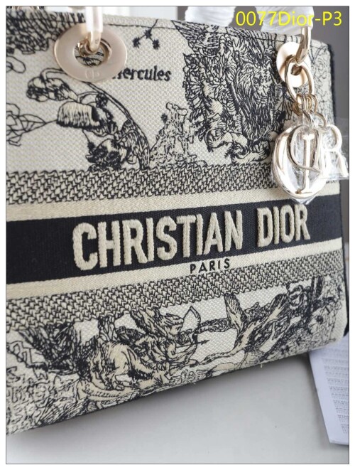 0077Dior P3