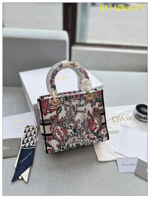 0114Dior P3