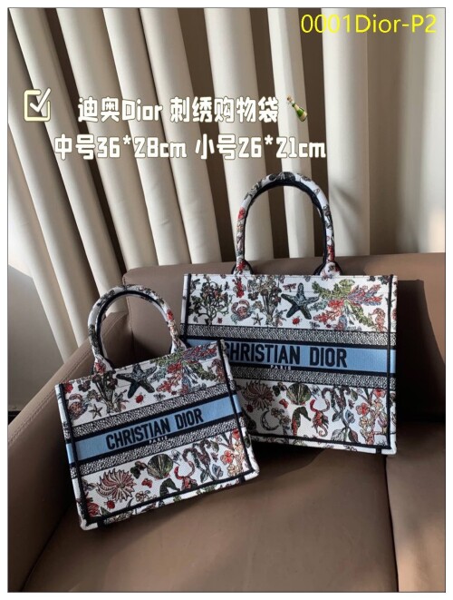 0001Dior P2