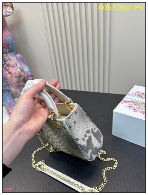 0053Dior P5