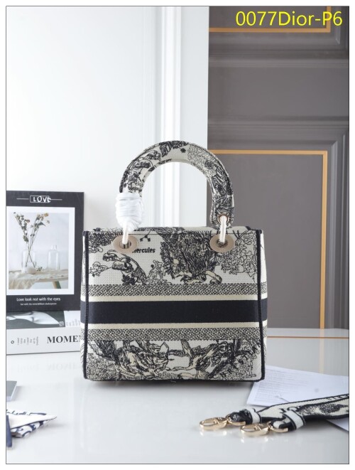 0077Dior P6