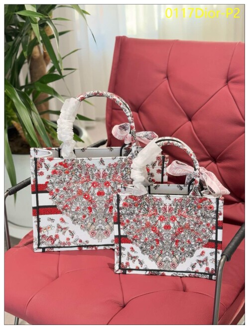 0117Dior P2