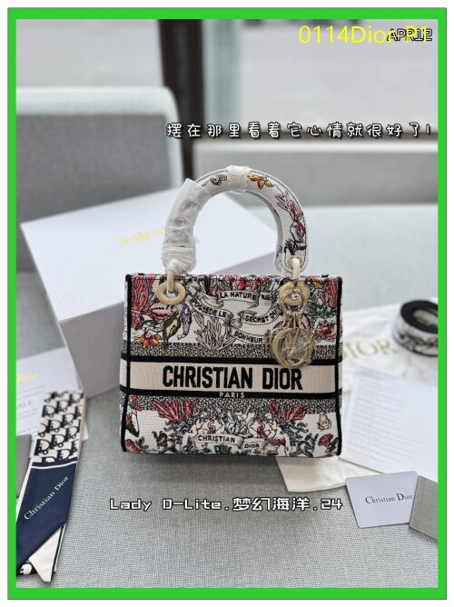 0114Dior P1