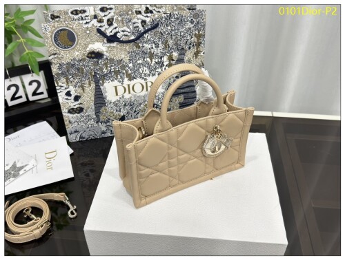 0101Dior P2
