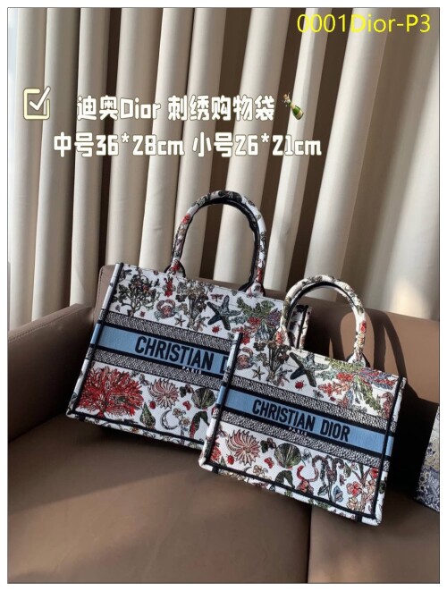 0001Dior P3