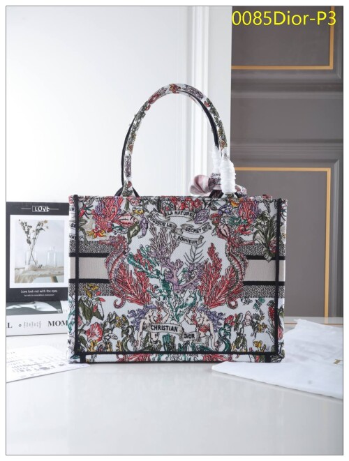 0085Dior P3