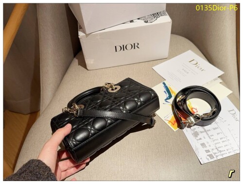 0135Dior P6