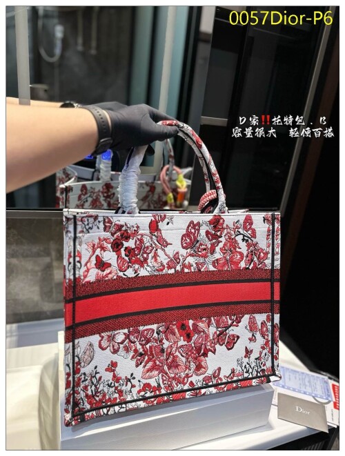 0057Dior P6