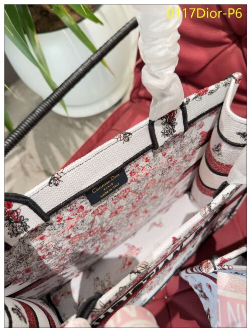 0117Dior P6
