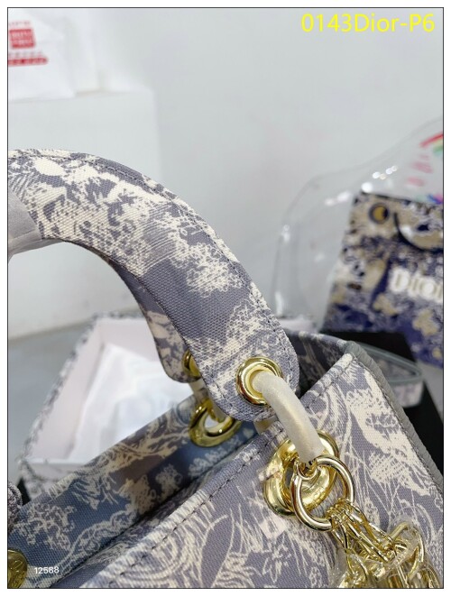0143Dior P6