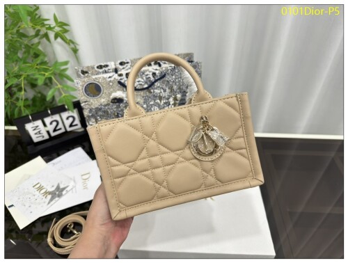 0101Dior P5