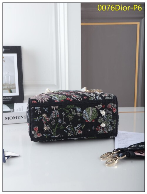 0076Dior P6