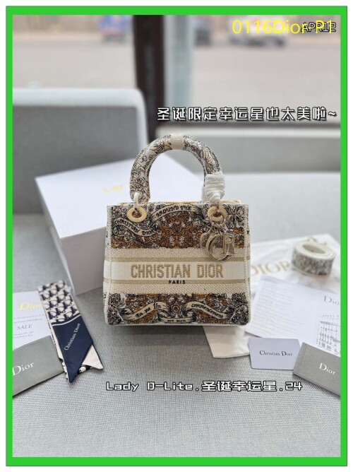 0116Dior P1