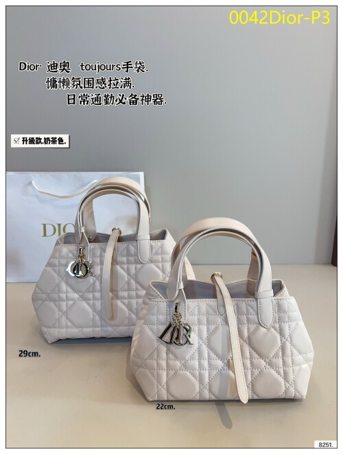 0042Dior P3