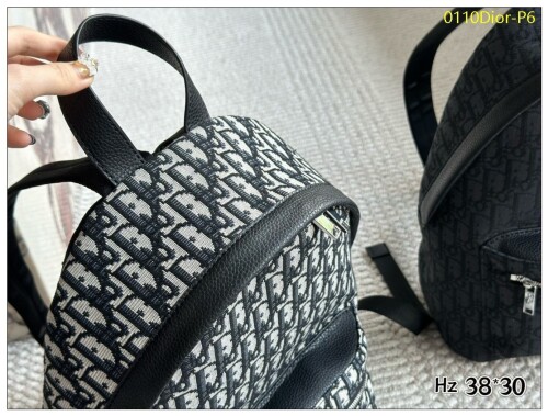 0110Dior P6