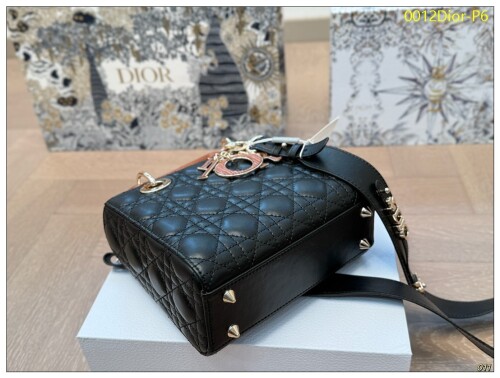 0012Dior P6