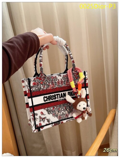 0025Dior P3