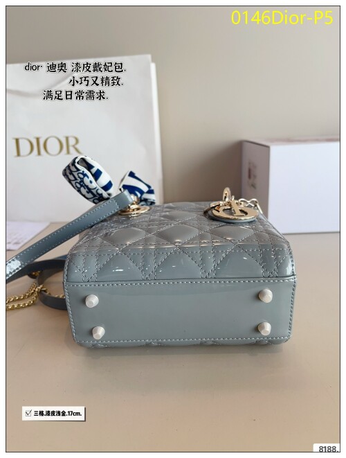 0146Dior P5