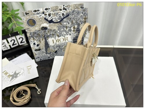 0101Dior P6