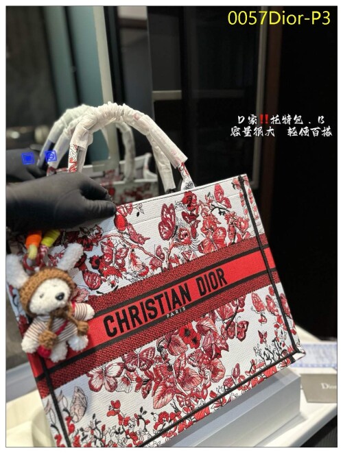0057Dior P3