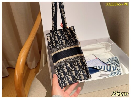 0022Dior P6