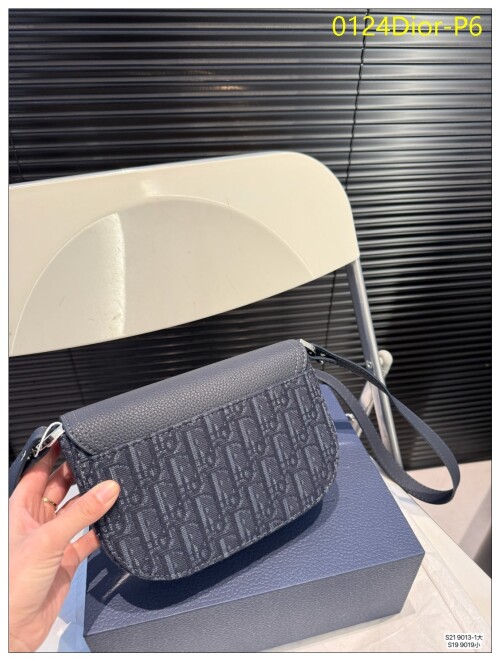 0124Dior P6