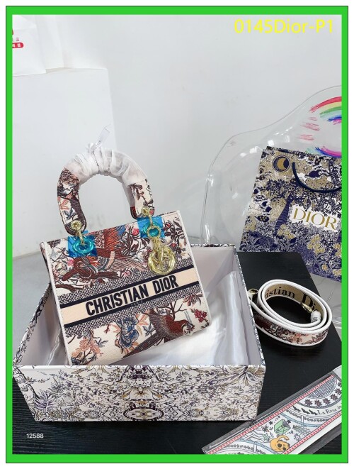 0145Dior P1