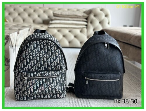 0110Dior P1