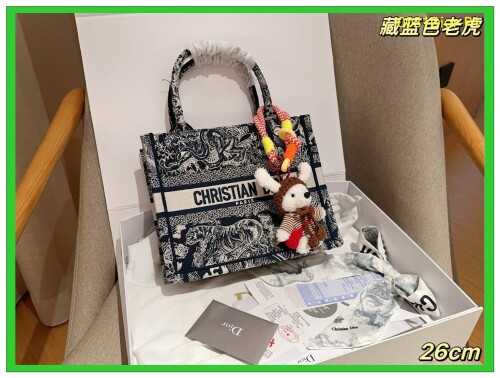 0031Dior P1