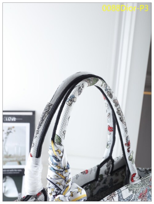 0088Dior P3