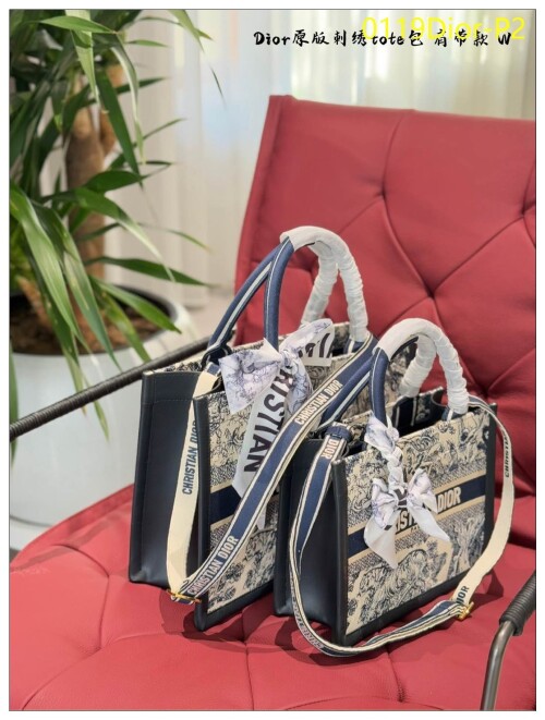 0119Dior P2