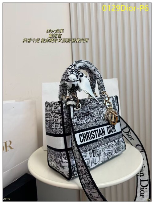 0129Dior P6