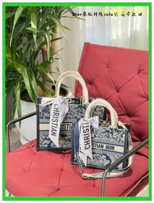 0118Dior P1