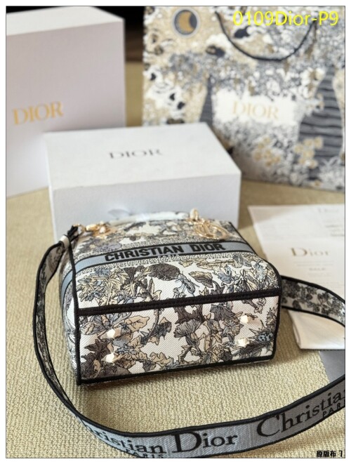 0109Dior P9