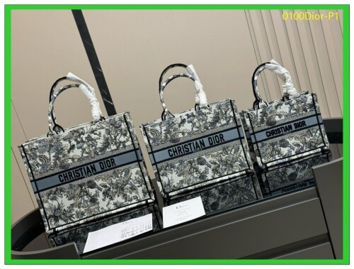 0100Dior P1
