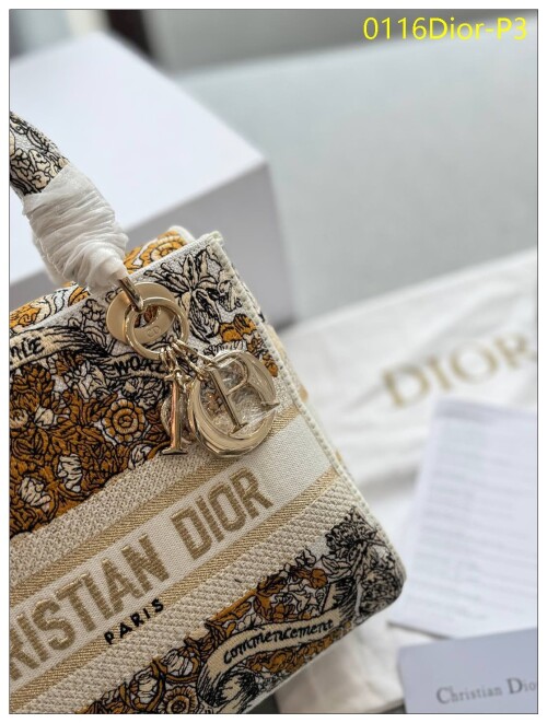 0116Dior P3