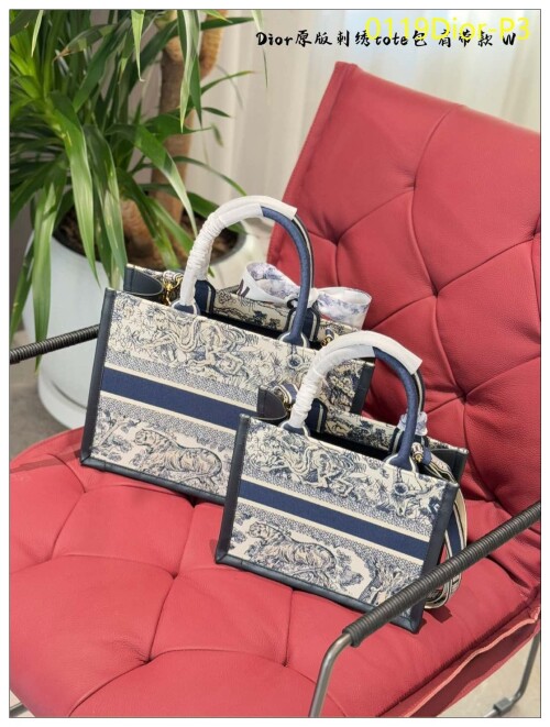 0119Dior P3