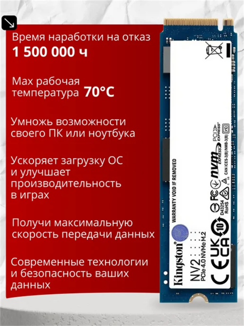 10004