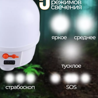 c5e164280773671ce307870750ace2e4