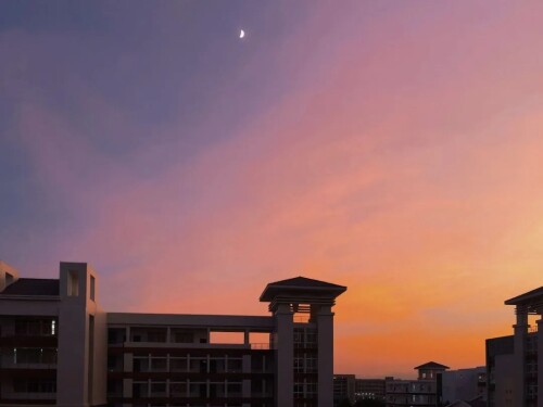 banner3