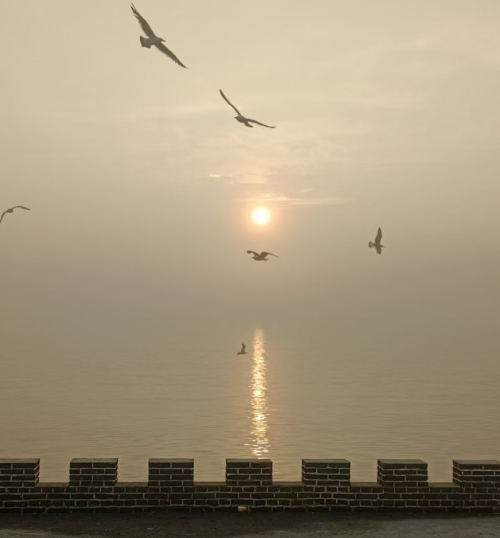 3e4b61ab81f13770a671df7f27d63b6b.png
