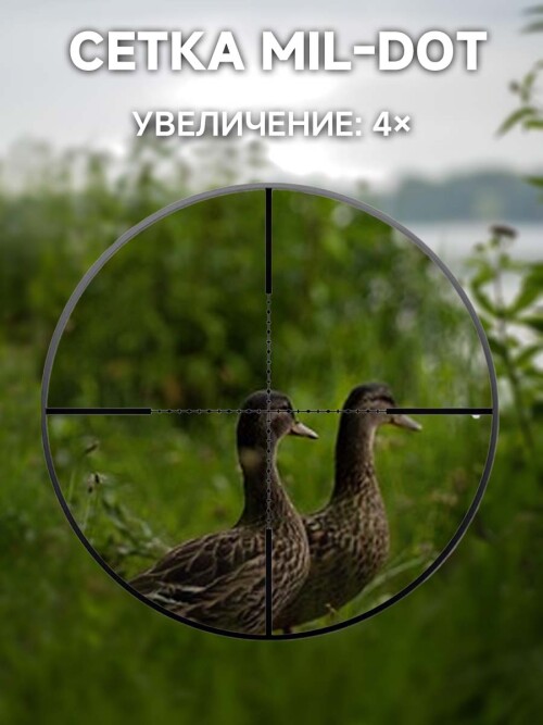 X3