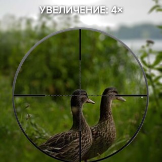 b86623ef18a5ced31262b5409cae30b2