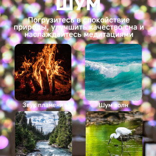 2f067bf1d387732e5d866b537e9a8626