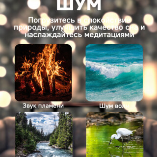 85ed36a5d20ec1315883428274a42c0b