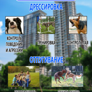 27581f050bf57e7d89629d11cb2f009d